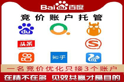 百度竞价托管公司案例分析：打造行业领军企业